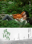 绝世仙王攻略：获取稀有装备的方法